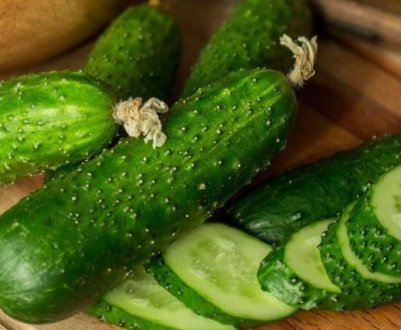 Такого врожаю огірків у вас ще не було! Кращі сорти та гібриди