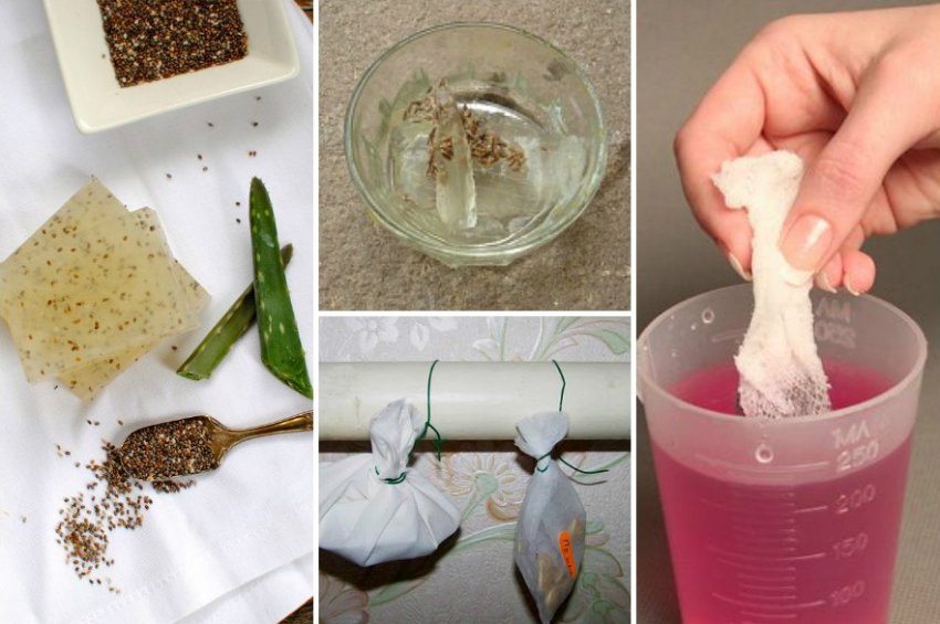 Обробка насіння розсади Обробка насіння розсади