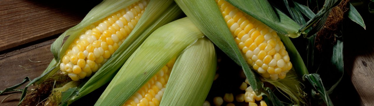 Как быстро и правильно чистить кукурузу в домашних условиях?