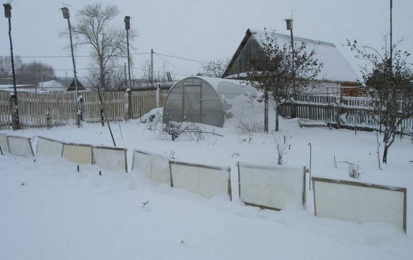 Відстроювання снігу на ділянці Відстроювання снігу на ділянці
