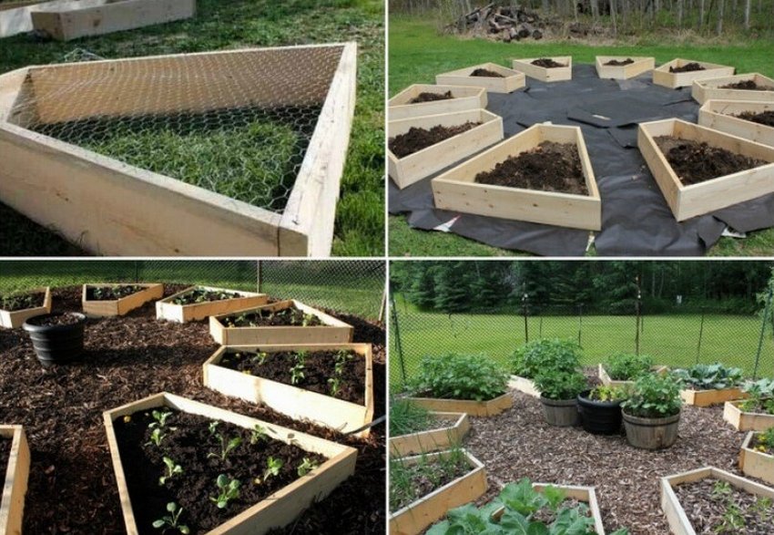 Високі грядки на ділянці Високі грядки на ділянці