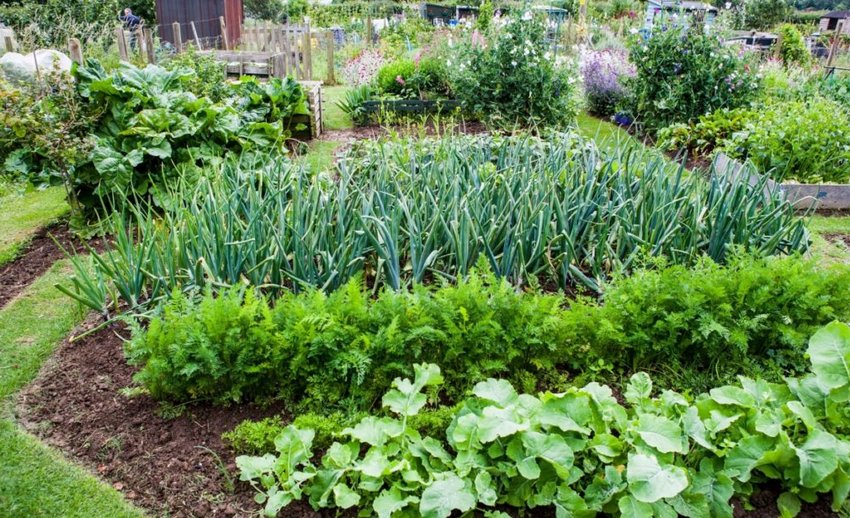 Ущільнення посадок Ущільнення посадок