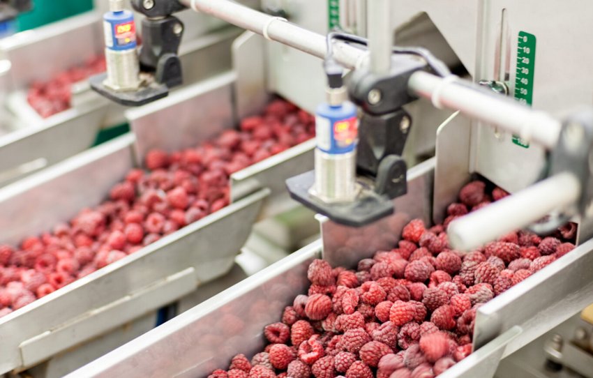 Завод по переробці Завод по переробці