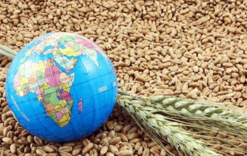 Експорт аграрної продукції