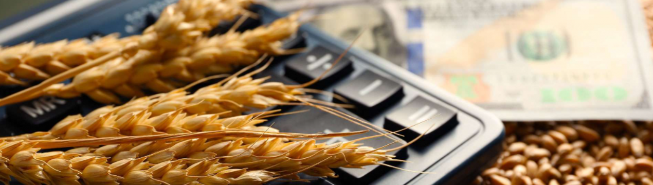 Україна відкрила 32 нових експортних ринки для реалізації своєї продукції