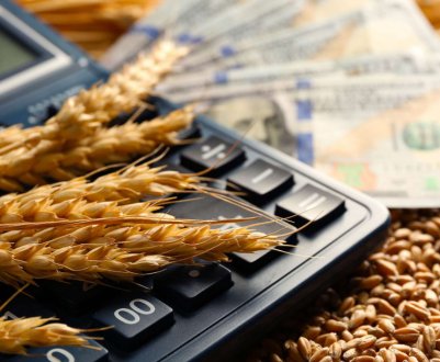 Україна відкрила 32 нових експортних ринки для реалізації своєї продукції