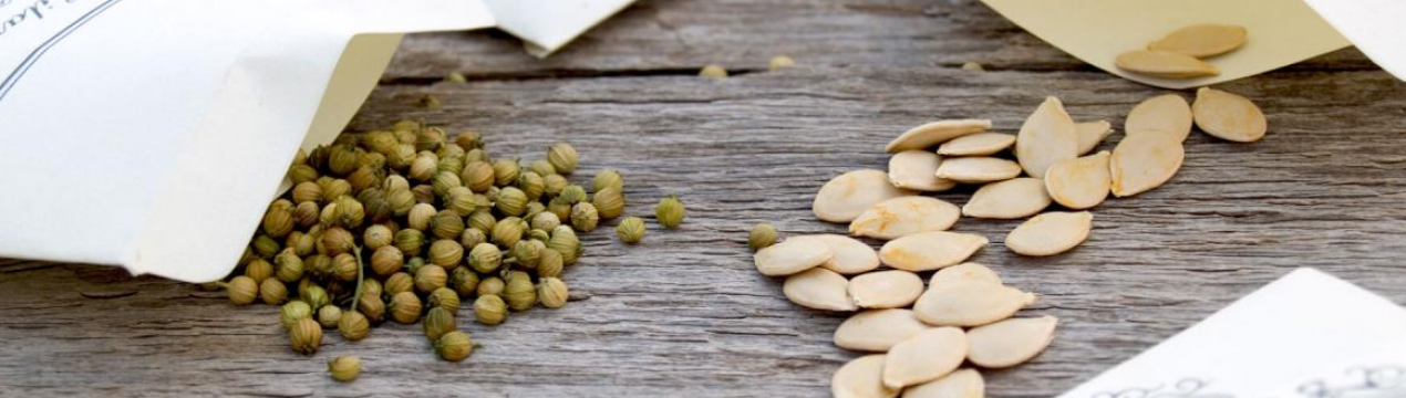 5 важливих правил при виборі насіння