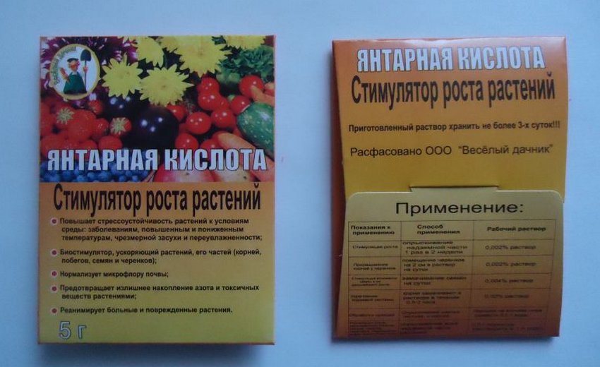 Янтарна кислота