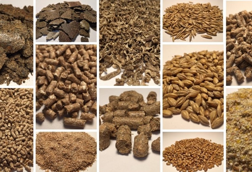 Корми для тварин Корми для тварин