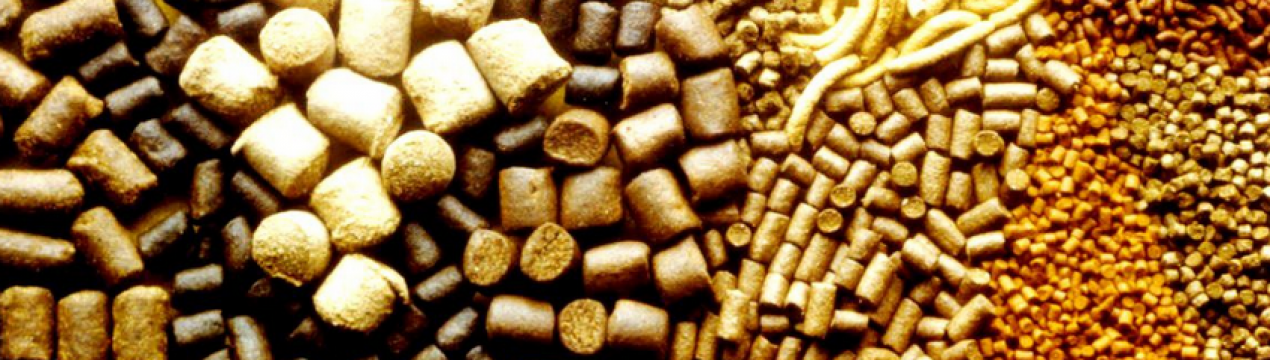 Виробники українських кормових сумішей для тварин отримали нові можливості для реалізації своєї продукції