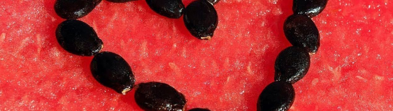 Українська кавуняна олія перемогла на виставці в Дубаї