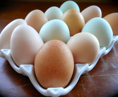 Учені створили яйця, які підвищують розумові та фізичні можливості