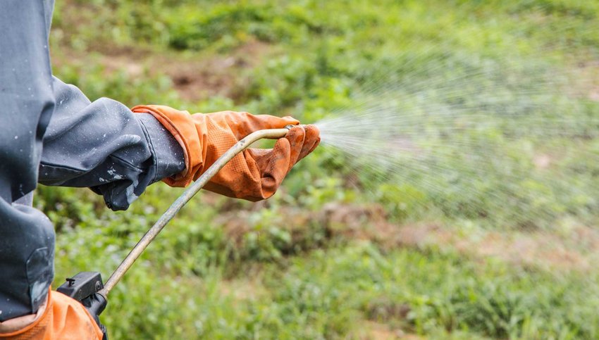 Обприскування гербіцидами від бур'янів