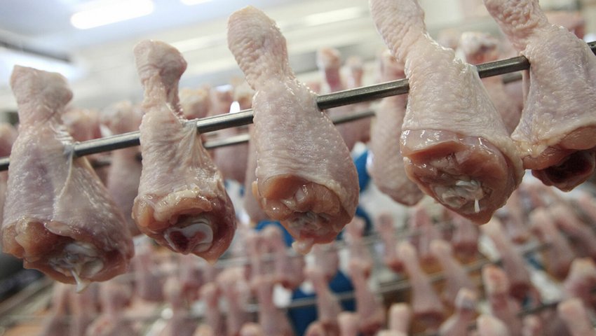 М'ясо птиці