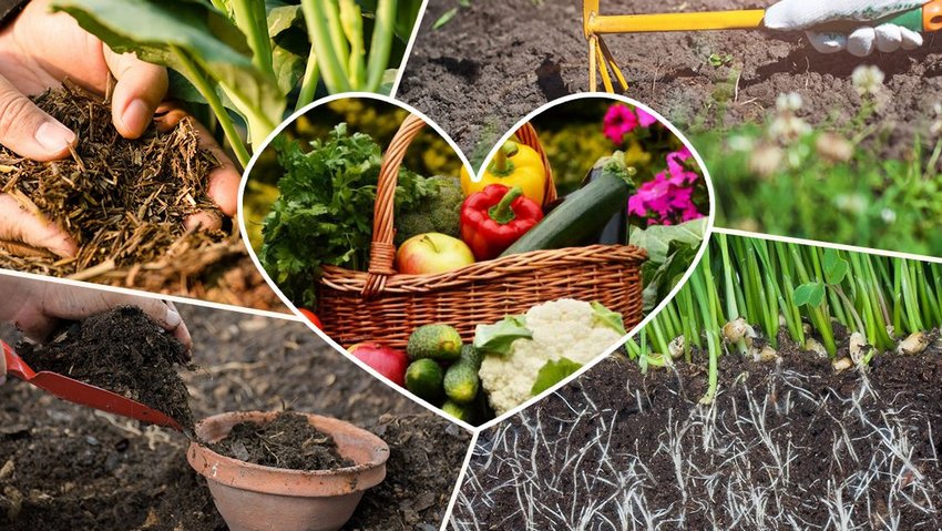 Підвищення родючості ґрунту