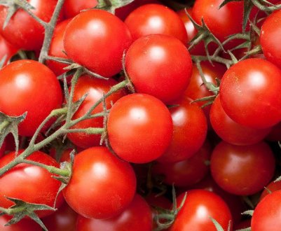 Якщо у вас немає дачі: врожайні карликові томати для балкона