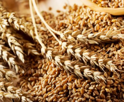 Війна в Україні може стати причиною голоду в Лівані