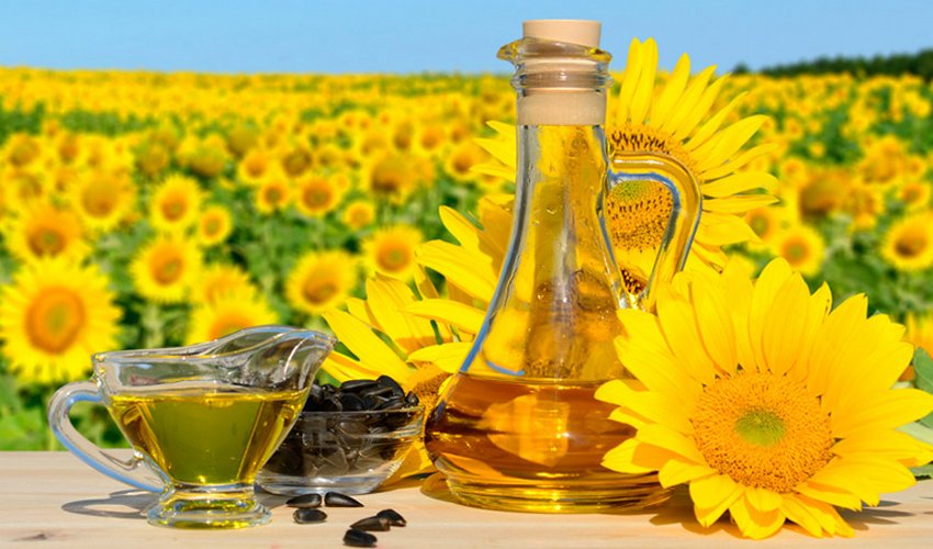 Експорт масличних культур Експорт масличних культур