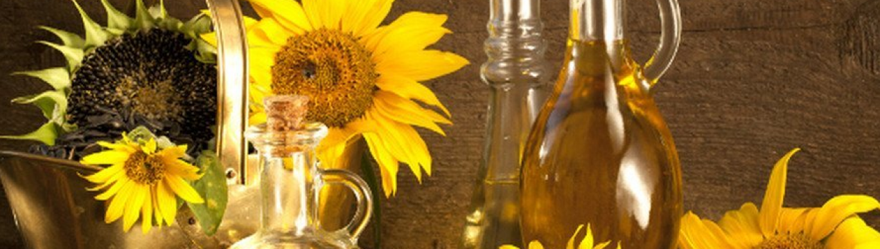 Через війну експорт масляничних культур з України може зупинитися принаймні на місяць