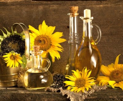 Через війну експорт масляничних культур з України може зупинитися принаймні на місяць