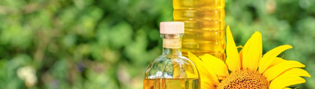 Через війну в країнах ЄС може спостерігатися дефіцит соняшникової олії