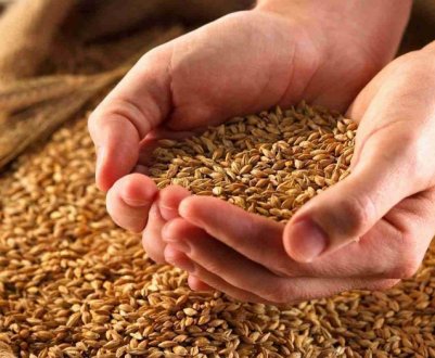 В Україні створять продовольчий резерв