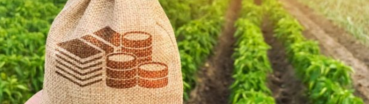 Правительство України планує підтримати вітчизняних аграріїв за допомогою кредитів