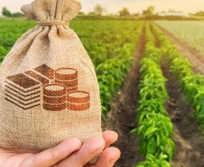 Правительство України планує підтримати вітчизняних аграріїв за допомогою кредитів