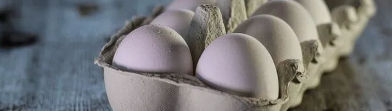 Незважаючи на війну в Україні яйця подешевшали