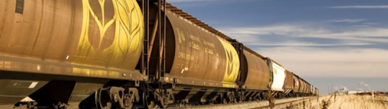 Через війну транспортування зернових суттєво зменшилося