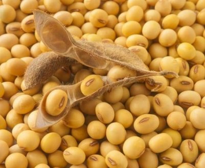 Українська соя втратила в ціні