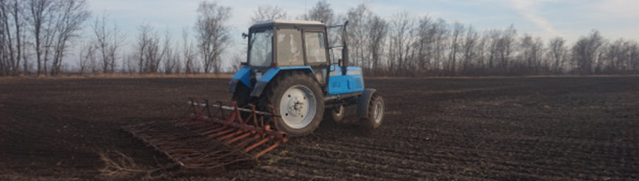 Україні повинно вистачати хліба: одеські фермери почали весняні роботи