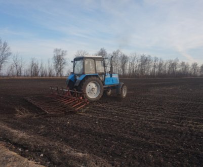 Україні повинно вистачати хліба: одеські фермери почали весняні роботи