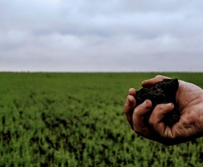 Україні спростять процедуру приватизації сільськогосподарських земель