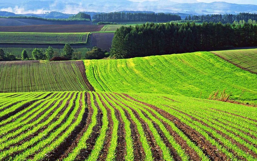 Приватизація сільгоспземель