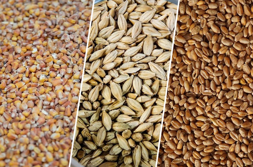 Запаси продовольства