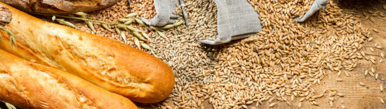 Запасів продовольства України вистачить на два роки