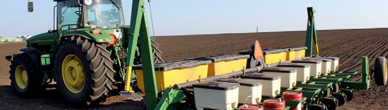 Один з регіонів України не буде сіяти кукурудзу в цьому році