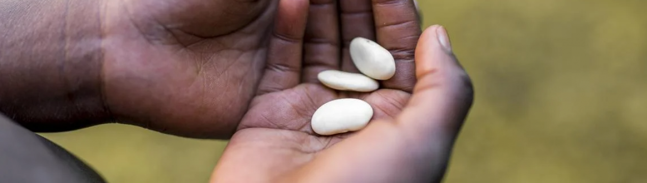 Всесвітня торговельна організація боїться, що війна в Україні може спровокувати голодні бунти в бідних країнах