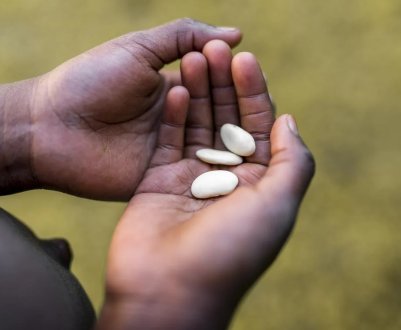 Всесвітня торговельна організація боїться, що війна в Україні може спровокувати голодні бунти в бідних країнах