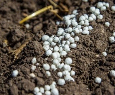 Правительство України визначило квоту на експорт азотних добрив