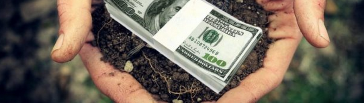 Стало відомо, скільки коштує українська земля під час воєнного стану