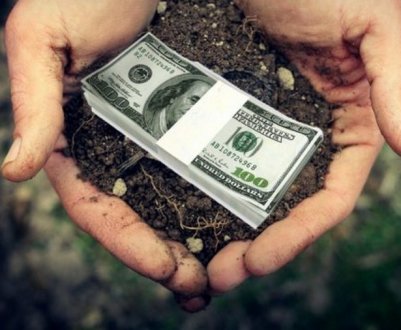 Стало відомо, скільки коштує українська земля під час воєнного стану