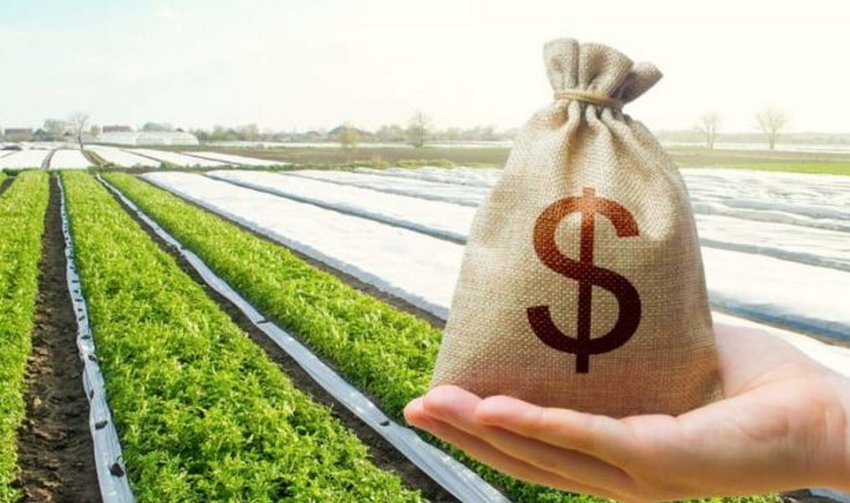 Ціни на землю під час воєнного стану