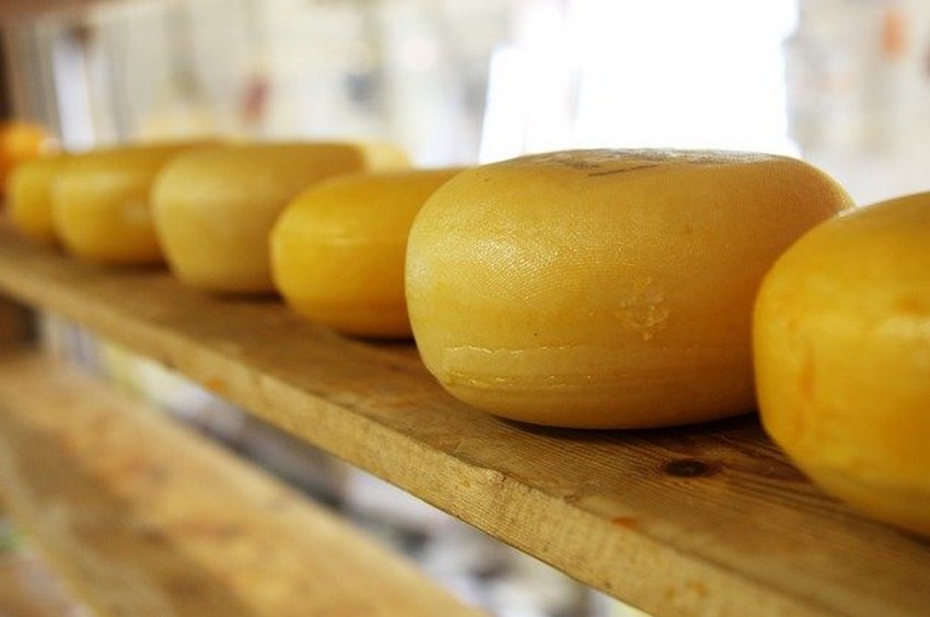 Зменшилося виробництво українського сиру