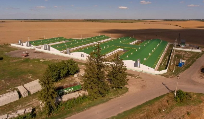 Свинокомплекс Свинокомплекс