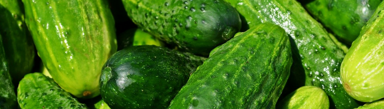 Вкрадені овочі з Херсона окупанти відправляють в Крим