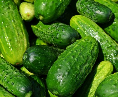 Вкрадені овочі з Херсона окупанти відправляють в Крим