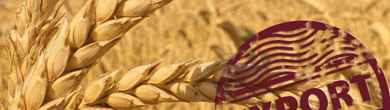 Мінагрополітики веде переговори про нові напрямки експорту українського зерна