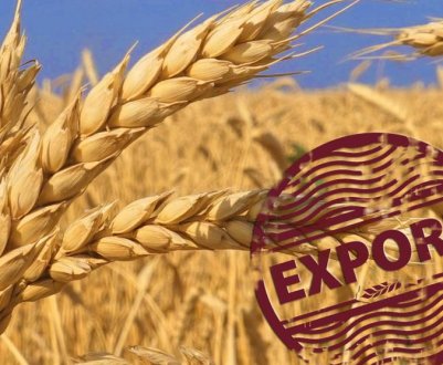 Мінагрополітики веде переговори про нові напрямки експорту українського зерна